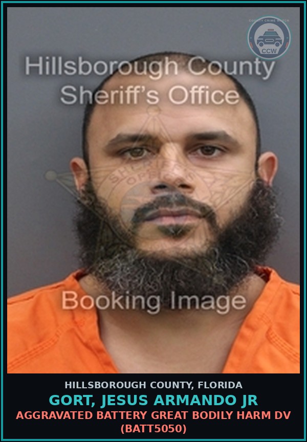 Booking mugshot of GORT, JESUS ARMANDO JR in Hillsborough County