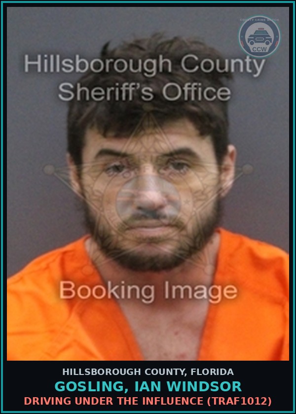 Booking mugshot of GOSLING, IAN WINDSOR in Hillsborough County
