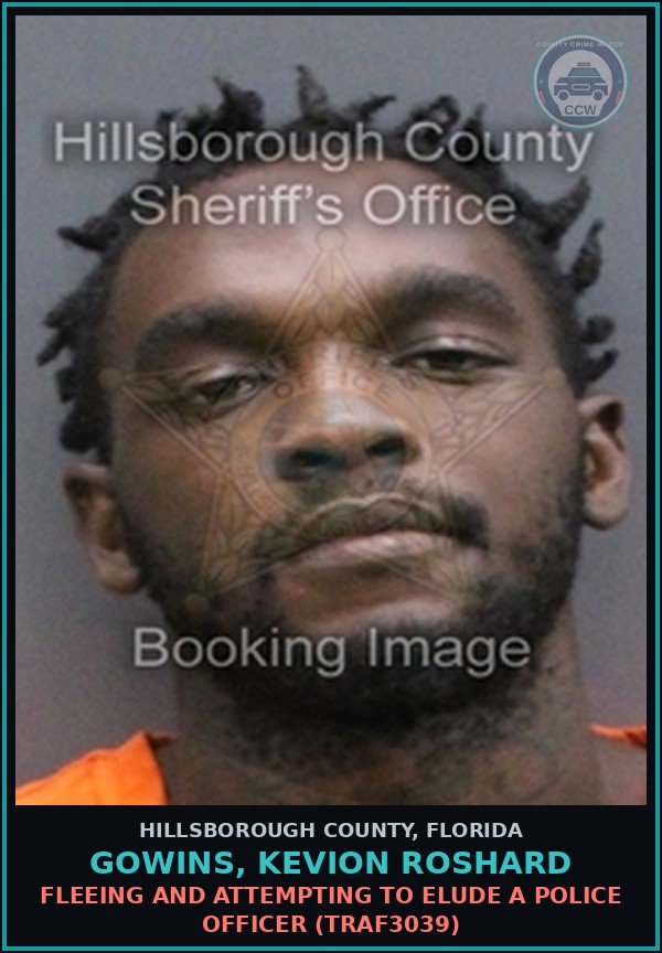 Booking mugshot of GOWINS, KEVION ROSHARD in Hillsborough County