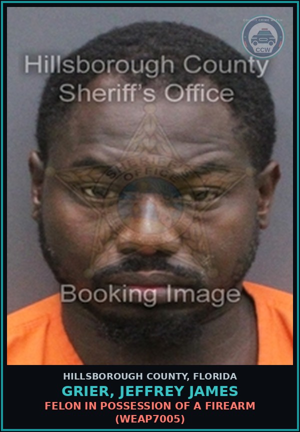 Booking mugshot of GRIER, JEFFREY JAMES in Hillsborough County