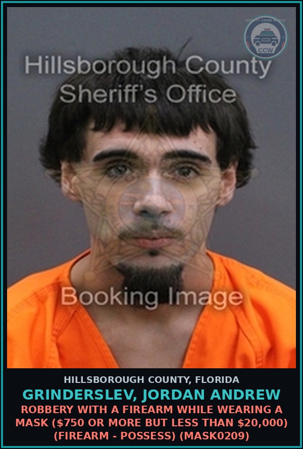 Booking mugshot of GRINDERSLEV, JORDAN ANDREW in Hillsborough County