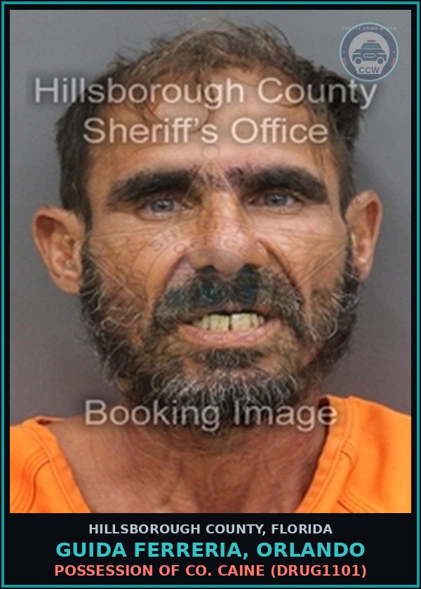 Booking mugshot of GUIDA FERRERIA, ORLANDO in Hillsborough County