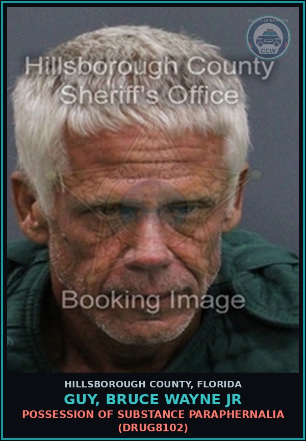 Booking mugshot of GUY, BRUCE WAYNE JR in Hillsborough County