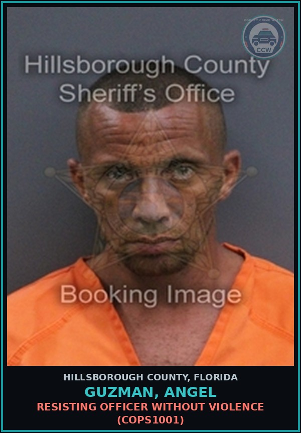 Booking mugshot of GUZMAN, ANGEL in Hillsborough County