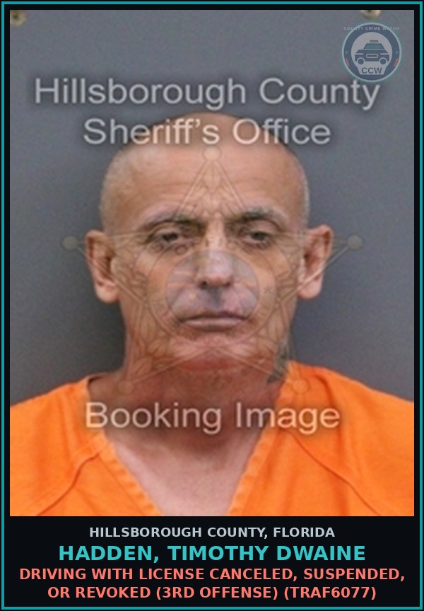 Booking mugshot of HADDEN, TIMOTHY DWAINE in Hillsborough County