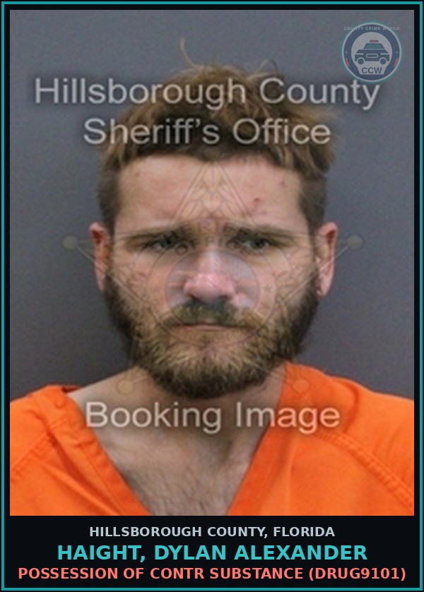Booking mugshot of HAIGHT, DYLAN ALEXANDER in Hillsborough County