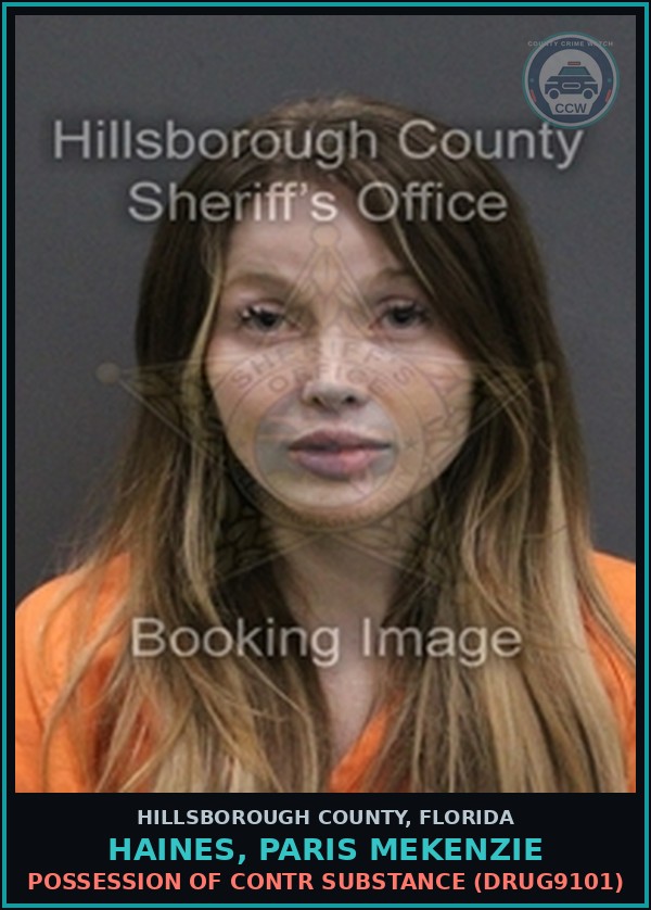 Booking mugshot of HAINES, PARIS MEKENZIE in Hillsborough County