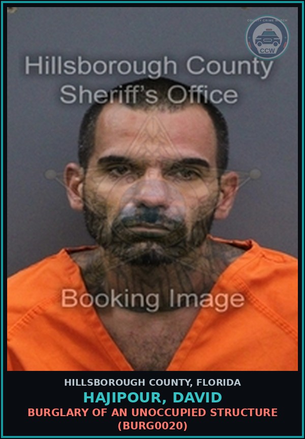 Booking mugshot of HAJIPOUR, DAVID in Hillsborough County