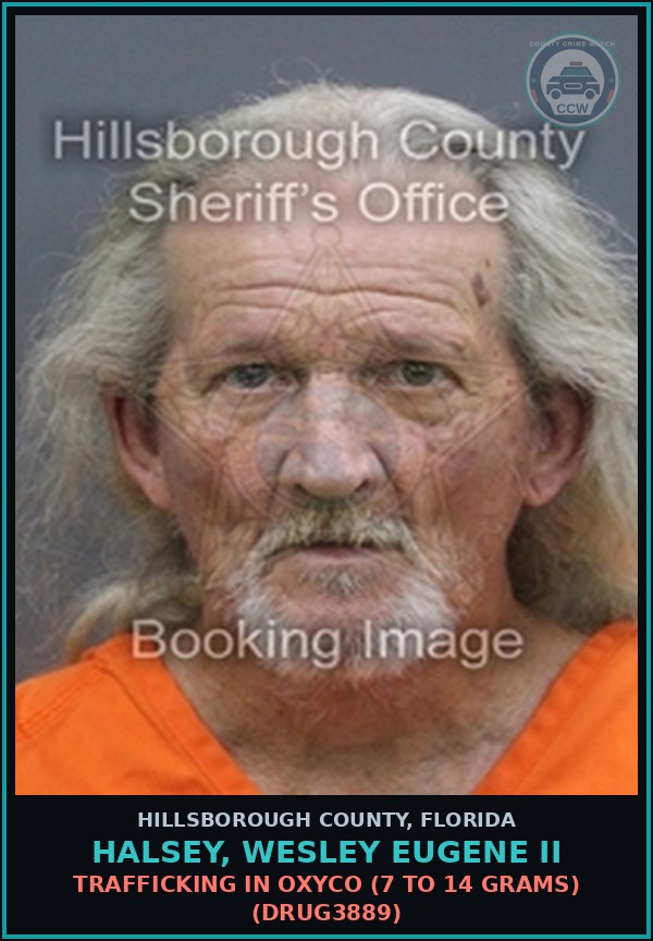 Booking mugshot of HALSEY, WESLEY EUGENE II in Hillsborough County