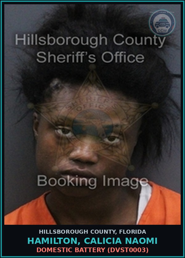 Booking mugshot of HAMILTON, CALICIA NAOMI in Hillsborough County