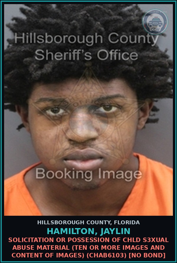 Booking mugshot of HAMILTON, JAYLIN in Hillsborough County