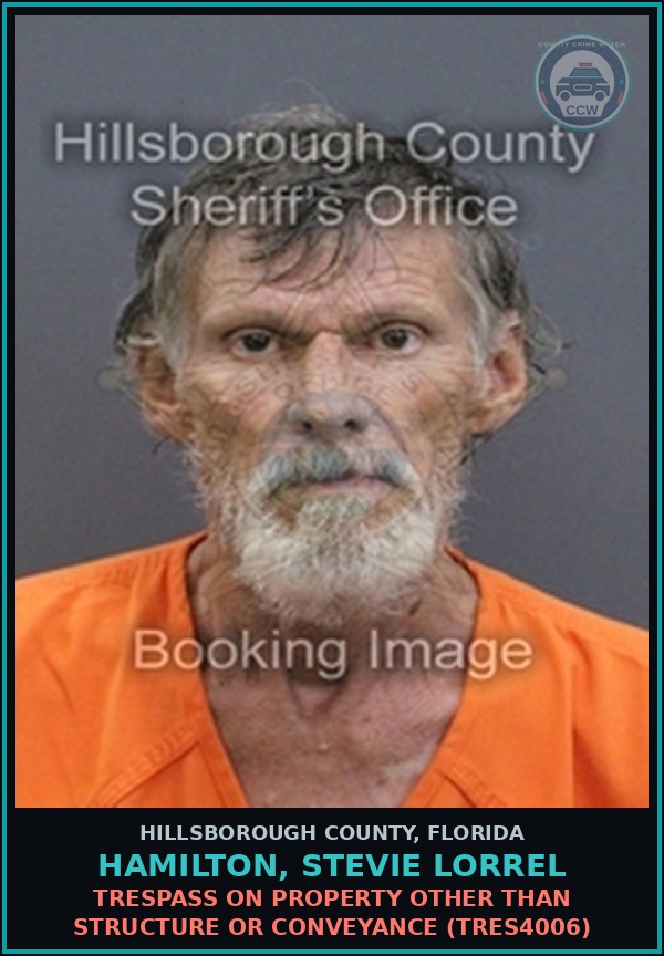 Booking mugshot of HAMILTON, STEVIE LORREL in Hillsborough County