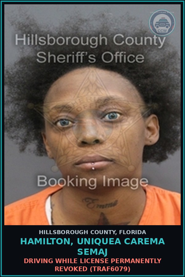 Booking mugshot of HAMILTON, UNIQUEA CAREMA SEMAJ in Hillsborough County
