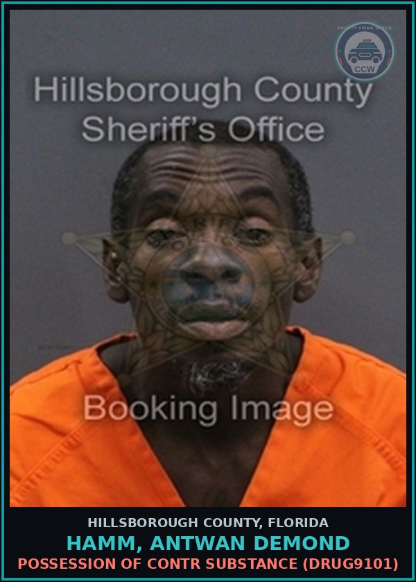 Booking mugshot of HAMM, ANTWAN DEMOND in Hillsborough County