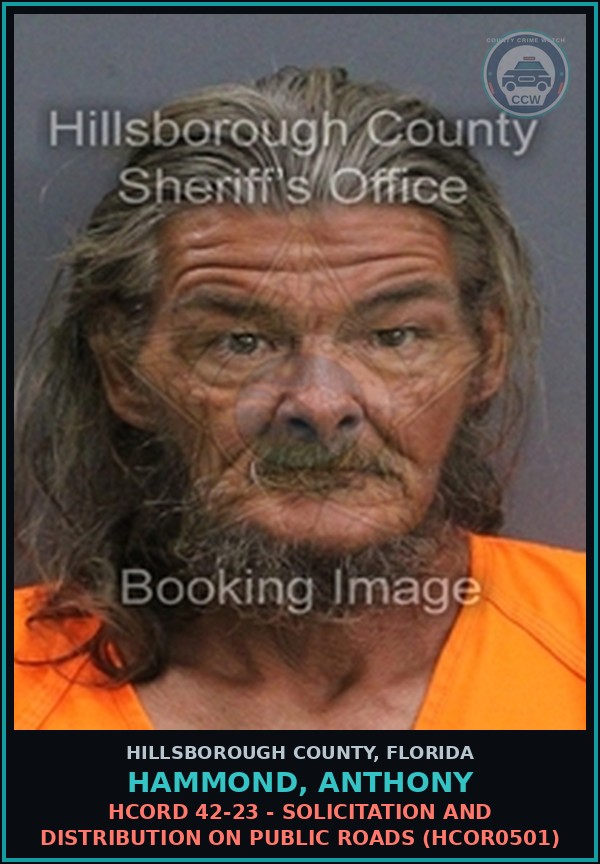 Booking mugshot of HAMMOND, ANTHONY in Hillsborough County