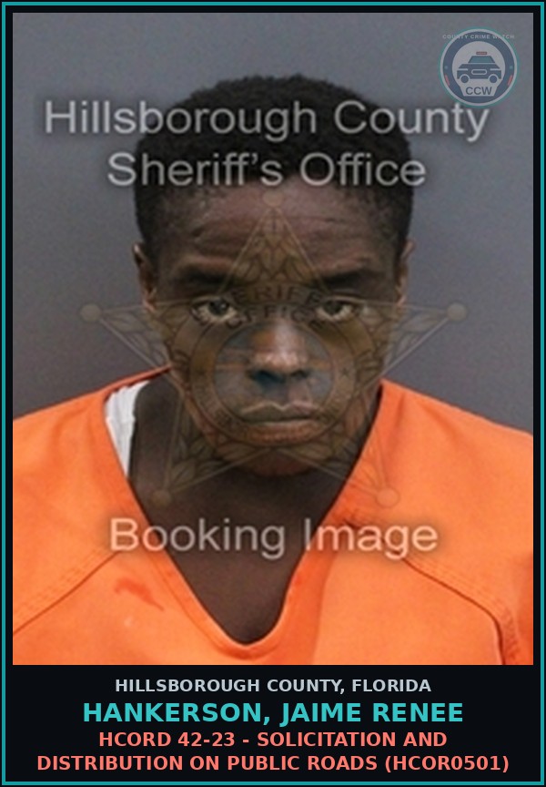 Booking mugshot of HANKERSON, JAIME RENEE in Hillsborough County