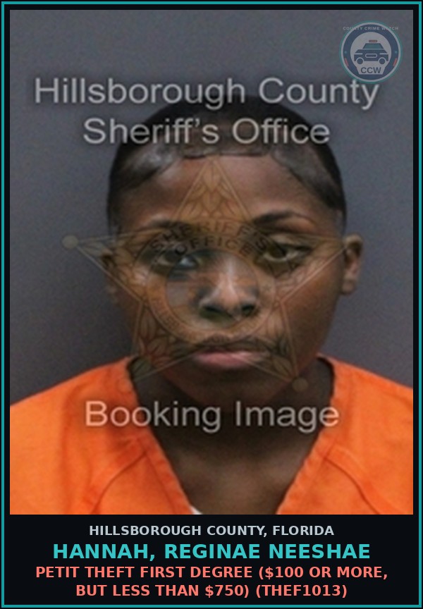 Booking mugshot of HANNAH, REGINAE NEESHAE in Hillsborough County