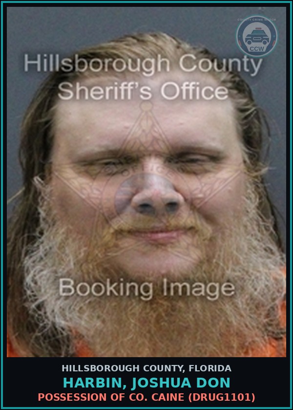 Booking mugshot of HARBIN, JOSHUA DON in Hillsborough County