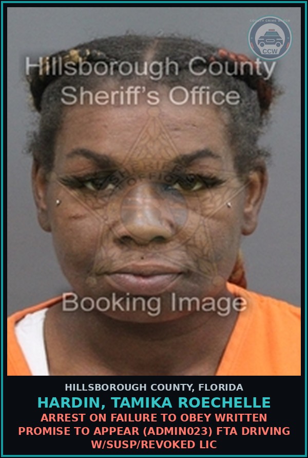 Booking mugshot of HARDIN, TAMIKA ROECHELLE in Hillsborough County