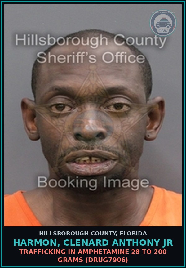 Booking mugshot of HARMON, CLENARD ANTHONY JR in Hillsborough County