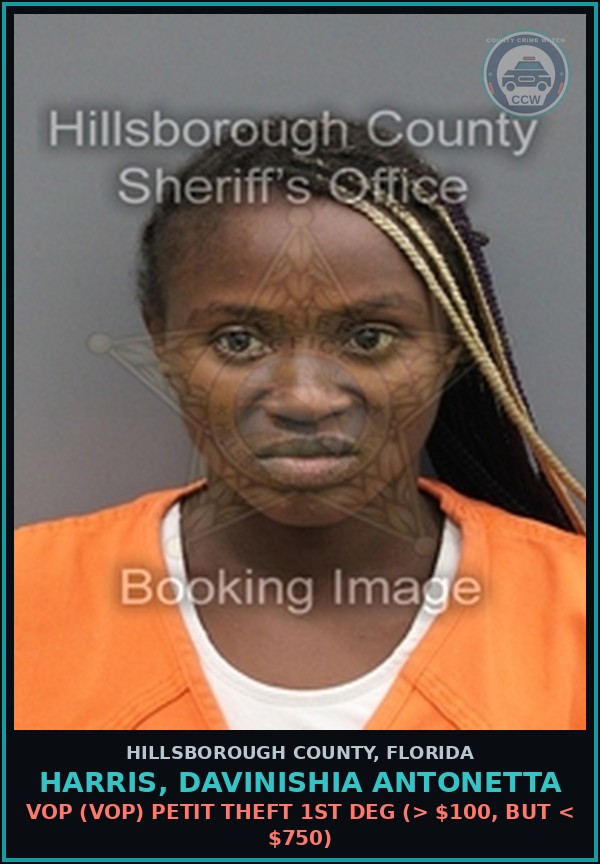 Booking mugshot of HARRIS, DAVINISHIA ANTONETTA in Hillsborough County