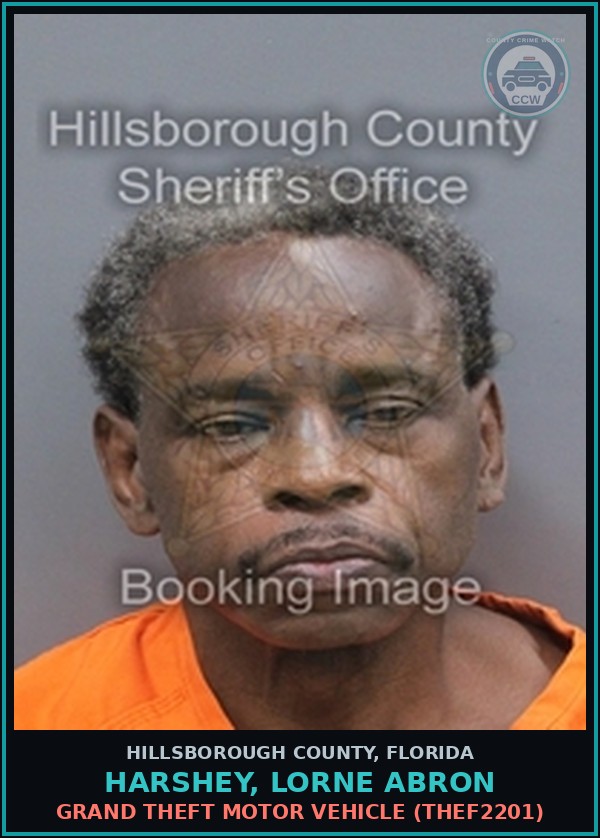Booking mugshot of HARSHEY, LORNE ABRON in Hillsborough County