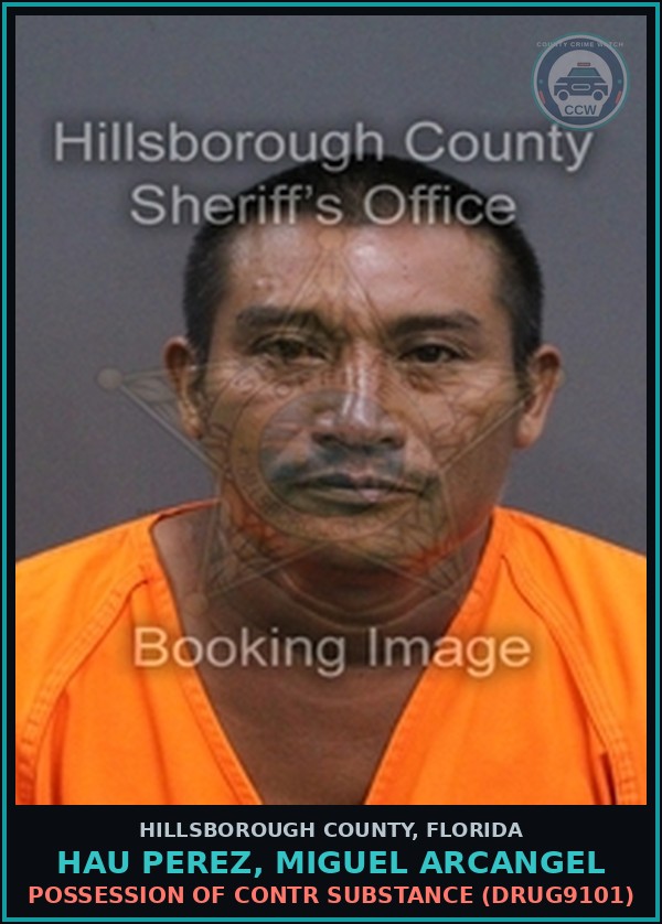 Booking mugshot of HAU PEREZ, MIGUEL ARCANGEL in Hillsborough County