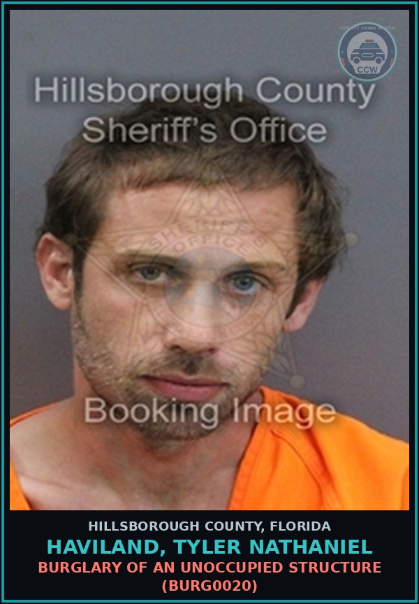 Booking mugshot of HAVILAND, TYLER NATHANIEL in Hillsborough County