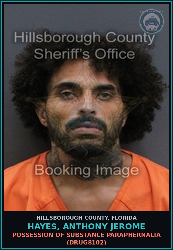 Booking mugshot of HAYES, ANTHONY JEROME in Hillsborough County