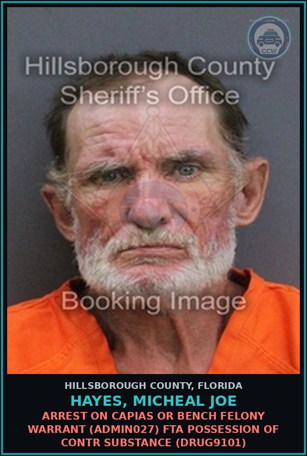 Booking mugshot of HAYES, MICHEAL JOE in Hillsborough County