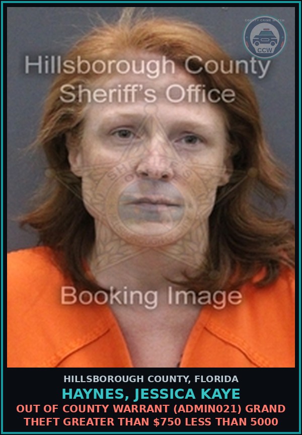 Booking mugshot of HAYNES, JESSICA KAYE in Hillsborough County