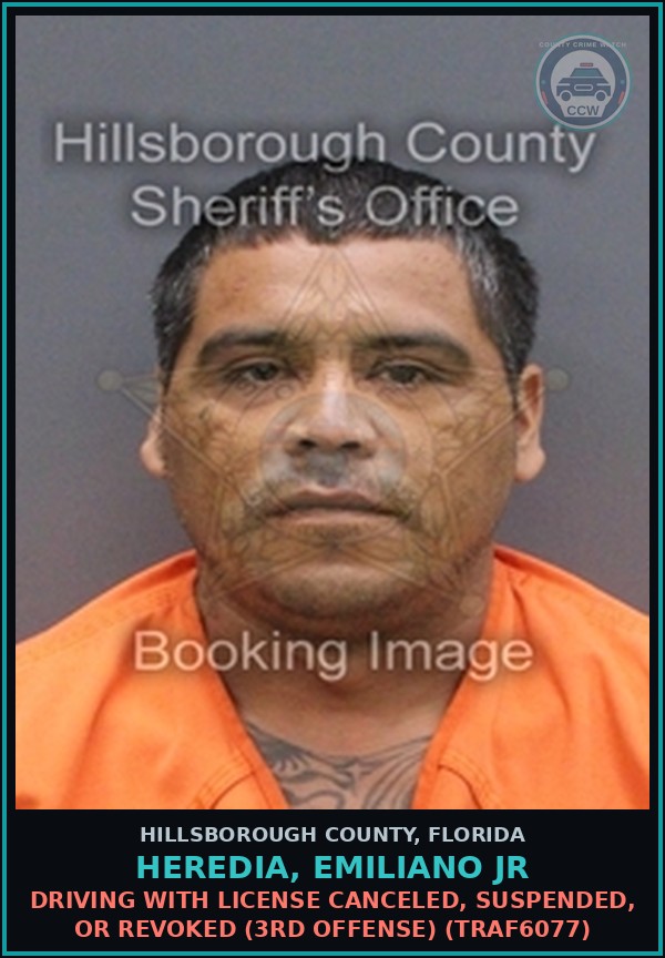 Booking mugshot of HEREDIA, EMILIANO JR in Hillsborough County