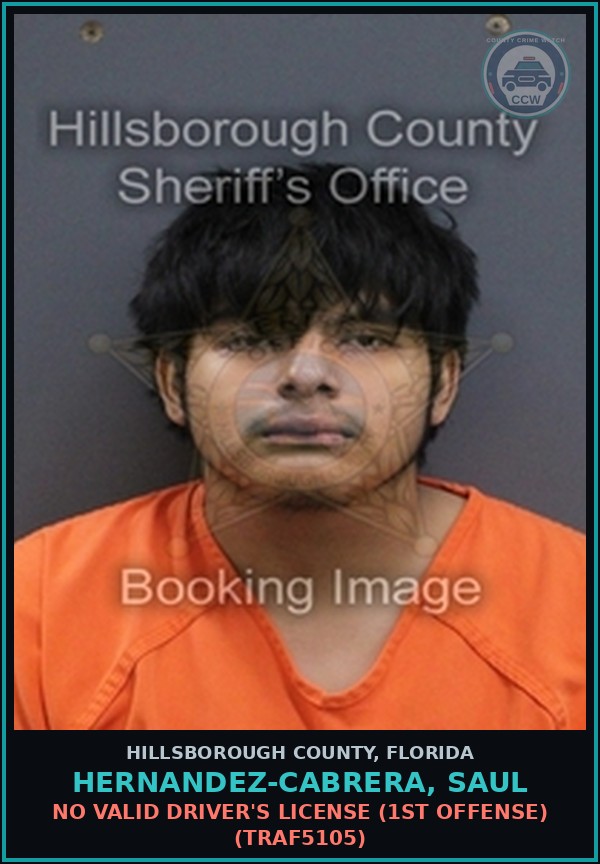 Booking mugshot of HERNANDEZ-CABRERA, SAUL in Hillsborough County