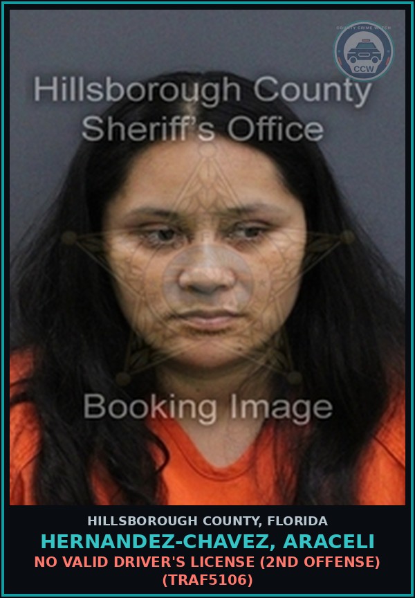 Booking mugshot of HERNANDEZ-CHAVEZ, ARACELI in Hillsborough County