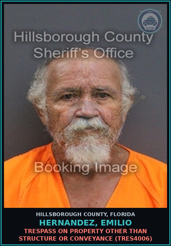Booking mugshot of HERNANDEZ, EMILIO in Hillsborough County