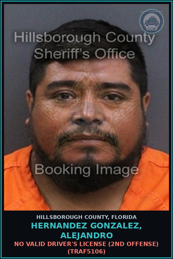 Booking mugshot of HERNANDEZ GONZALEZ, ALEJANDRO in Hillsborough County
