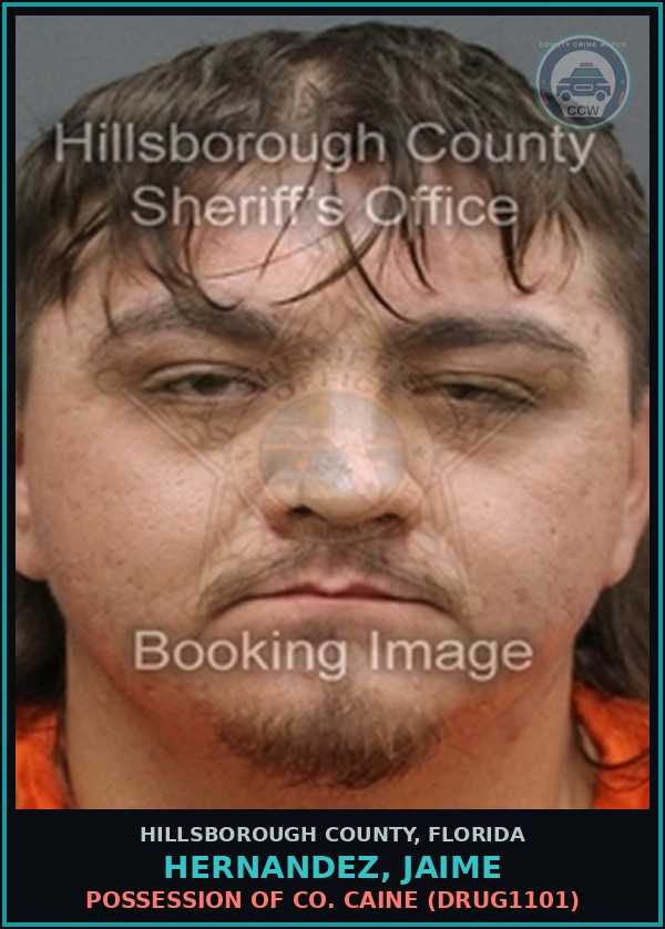 Booking mugshot of HERNANDEZ, JAIME in Hillsborough County