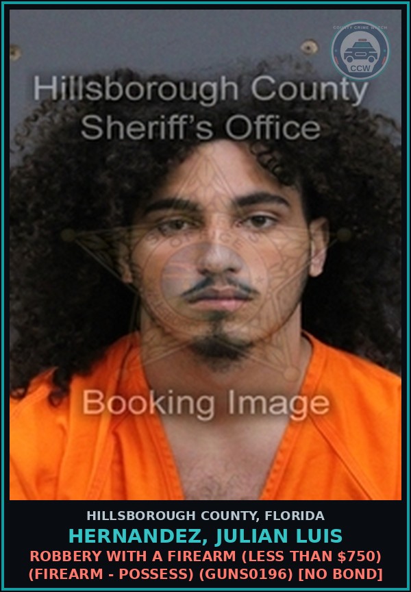 Booking mugshot of HERNANDEZ, JULIAN LUIS in Hillsborough County