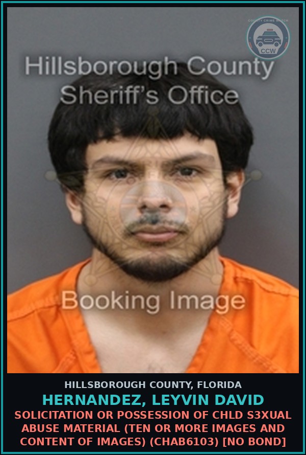 Booking mugshot of HERNANDEZ, LEYVIN DAVID in Hillsborough County