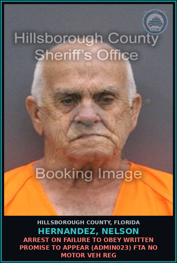 Booking mugshot of HERNANDEZ, NELSON in Hillsborough County