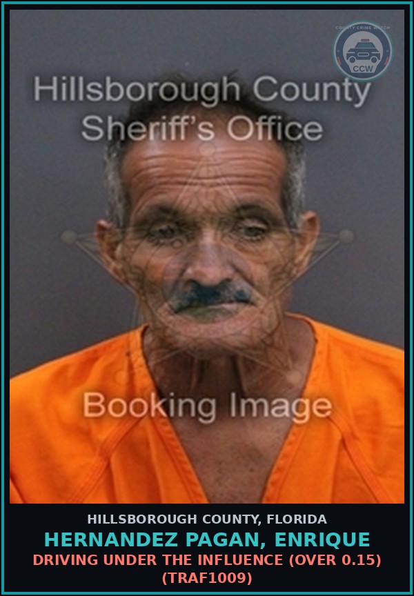 Booking mugshot of HERNANDEZ PAGAN, ENRIQUE in Hillsborough County
