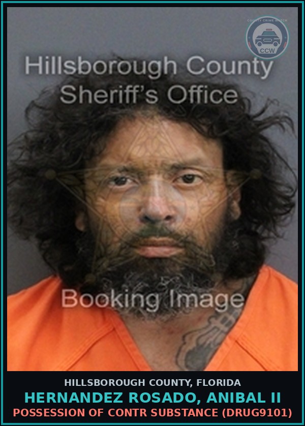Booking mugshot of HERNANDEZ ROSADO, ANIBAL II in Hillsborough County