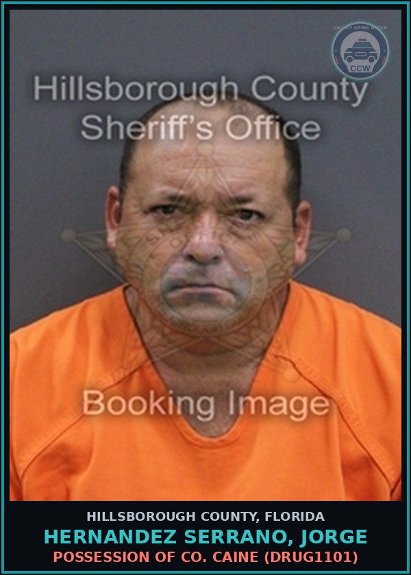 Booking mugshot of HERNANDEZ SERRANO, JORGE in Hillsborough County