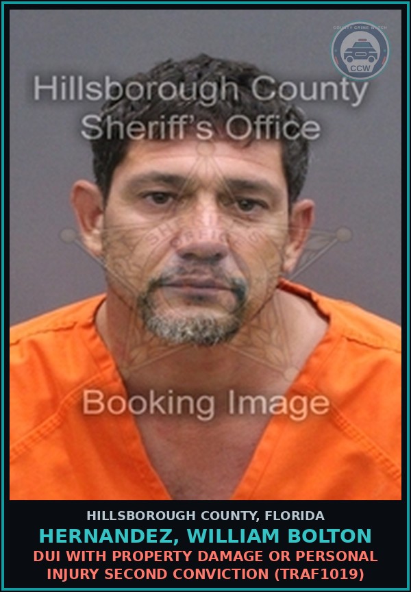 Booking mugshot of HERNANDEZ, WILLIAM BOLTON in Hillsborough County