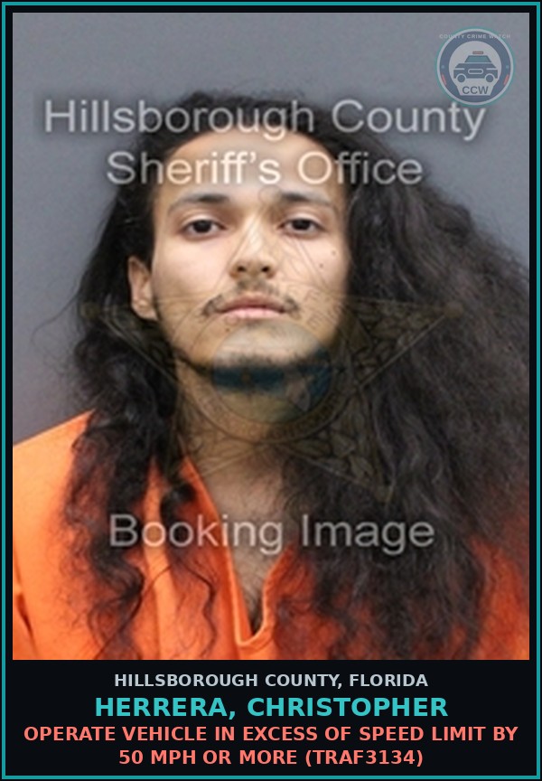 Booking mugshot of HERRERA, CHRISTOPHER in Hillsborough County