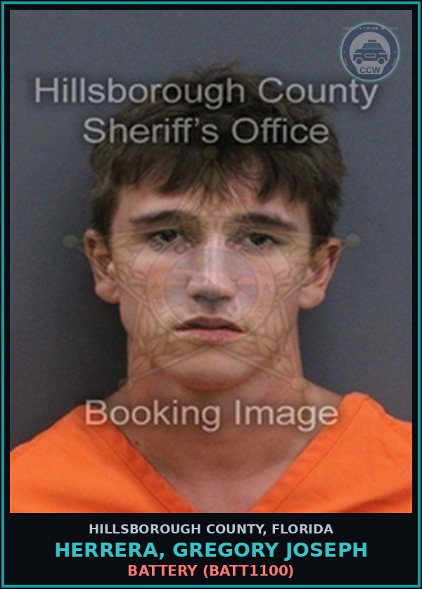 Booking mugshot of HERRERA, GREGORY JOSEPH in Hillsborough County