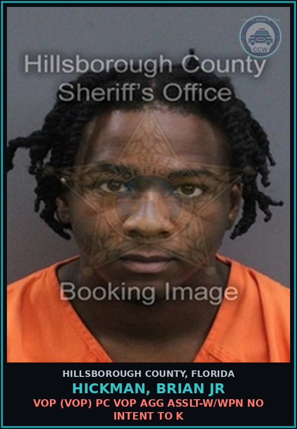 Booking mugshot of HICKMAN, BRIAN JR in Hillsborough County