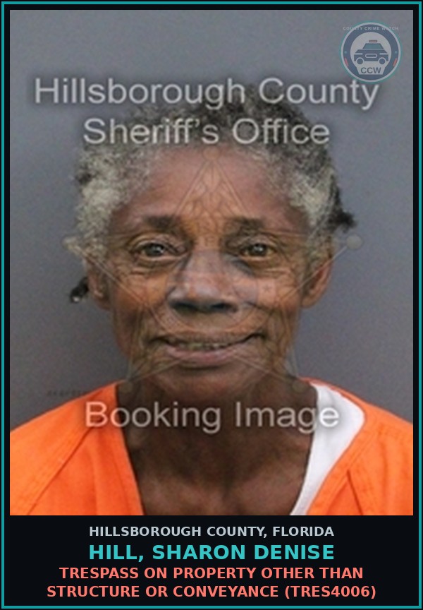 Booking mugshot of HILL, SHARON DENISE in Hillsborough County