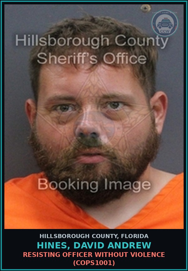 Booking mugshot of HINES, DAVID ANDREW in Hillsborough County