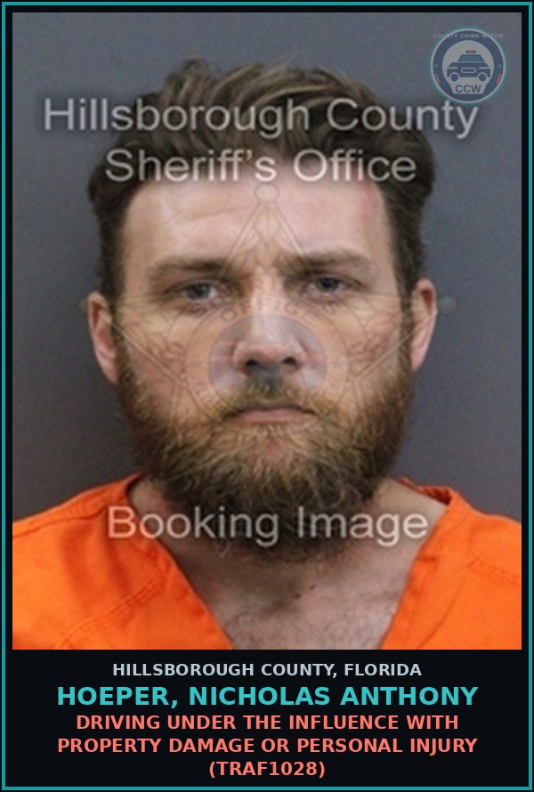 Booking mugshot of HOEPER, NICHOLAS ANTHONY in Hillsborough County
